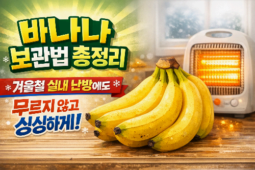 바나나 보관법 총정리 : 겨울철 실내 난방에도 무르지 않고 싱싱하게