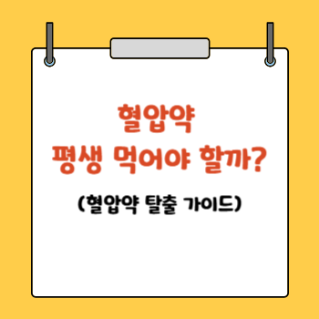 혈압약 탈출가이드