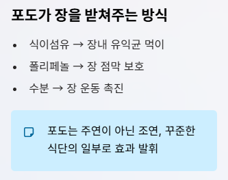 포도 효능