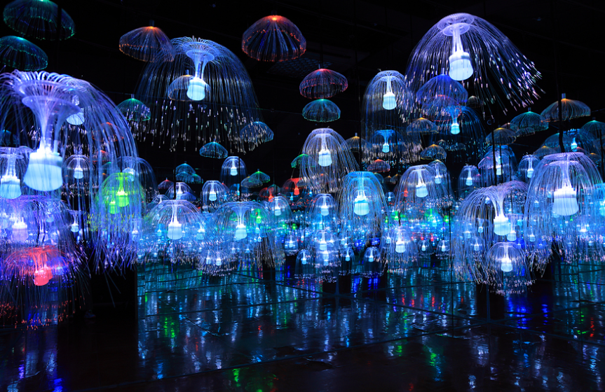 제주 홀릭뮤지엄 해파리 미디어아트 공간, 빛나는 LED 해파리 조형물들이 어두운 전시장에 가득한 모습