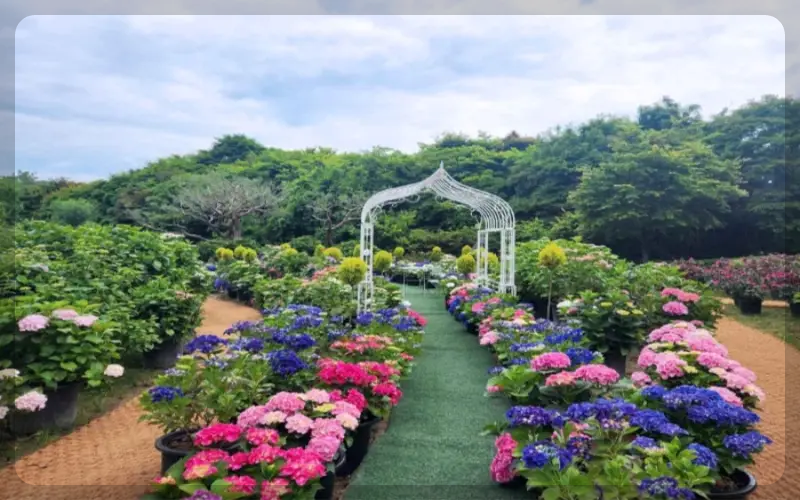 율봄식물원
