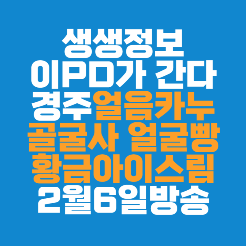 생생정보 이PD가 간다 경주여행