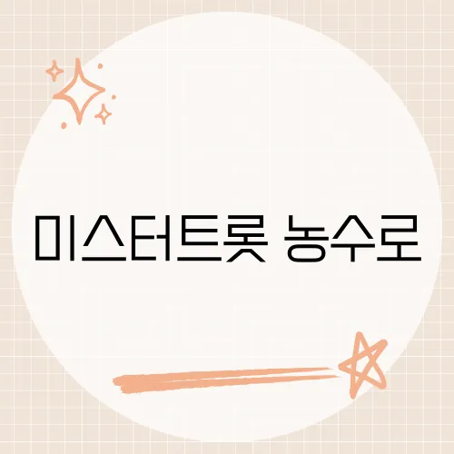 미스터트롯 농수로, 그 무대가 시청자들에게 남긴 인상은?