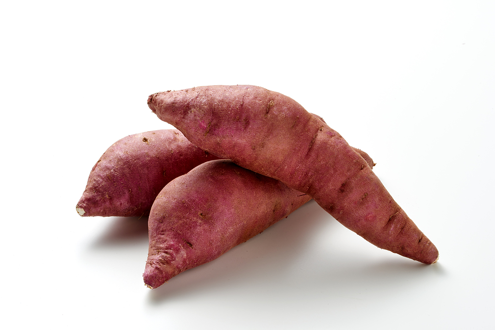 고구마-심는-시기