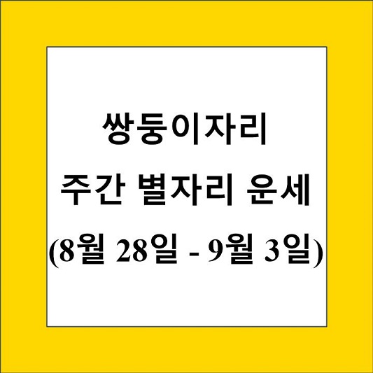 쌍둥이자리 주간 별자리 운세 제목 상자
