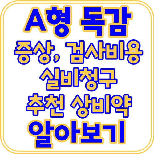 A형-독감-증상-검사-비용-실비-청구-추천-상비약-알아보기