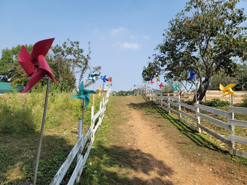 파주 가볼만한곳 