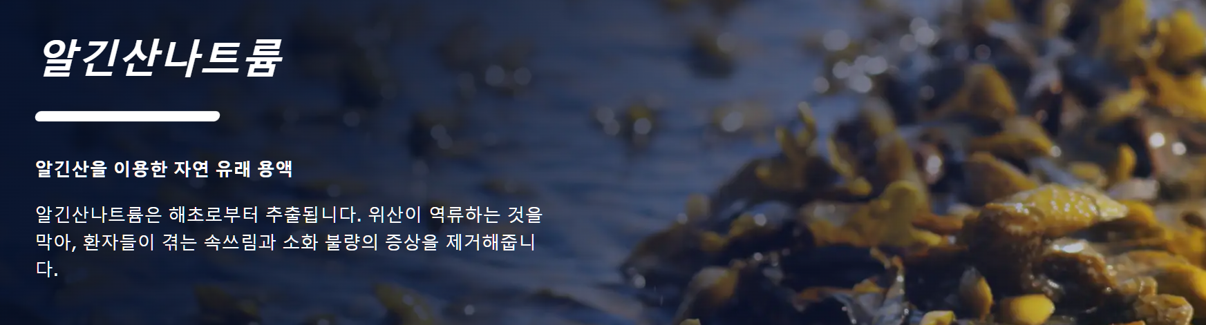 개비스콘 효과