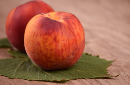 귀리 (오트밀) 관련 사진