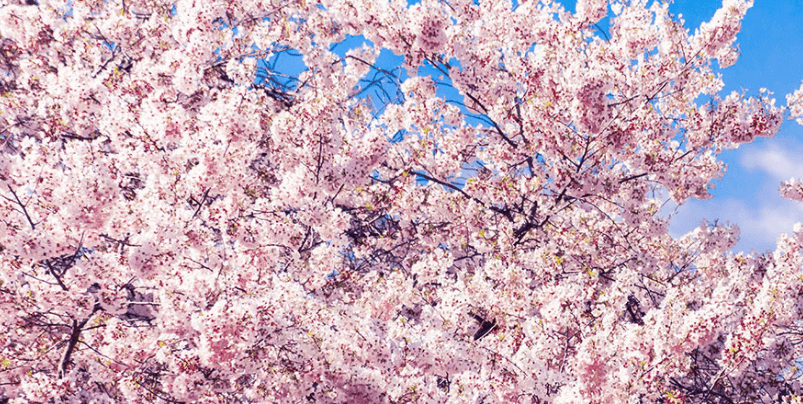 경남 축제 일정