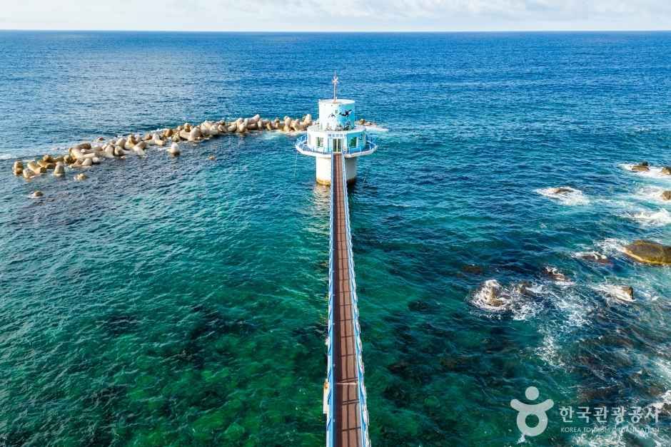 울릉도 가볼만한곳 베스트10 