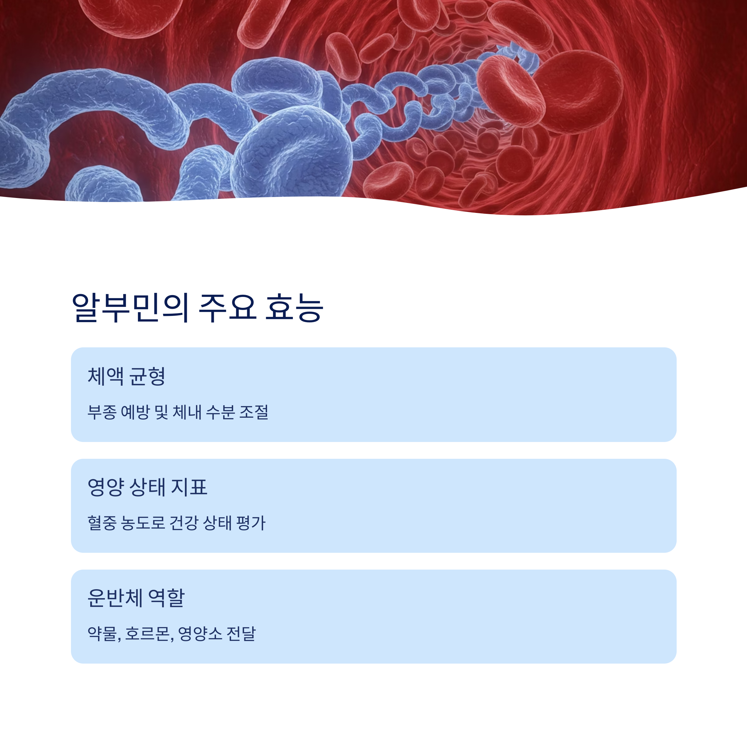 알부민의 주요 효능과 작용