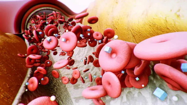 혈액속 당이 많아 보이는 모습