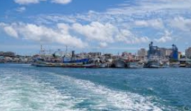 비양도 배시간표