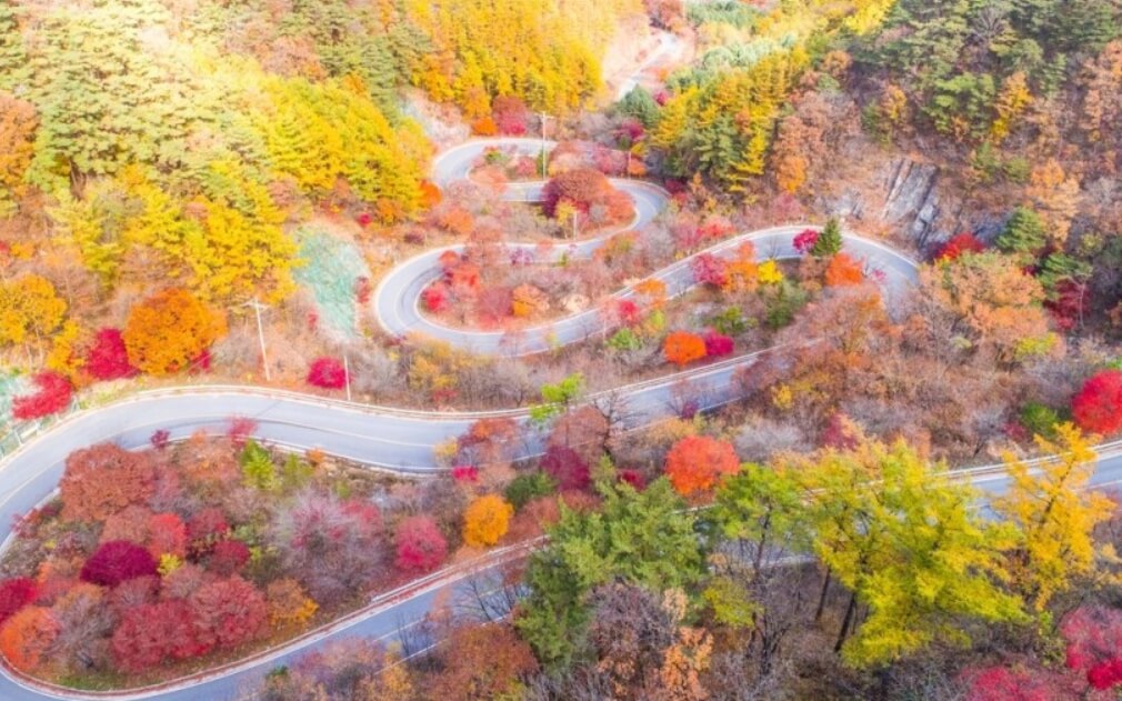 2024년 가을 단풍시기 (출처 : 한국관광공사)