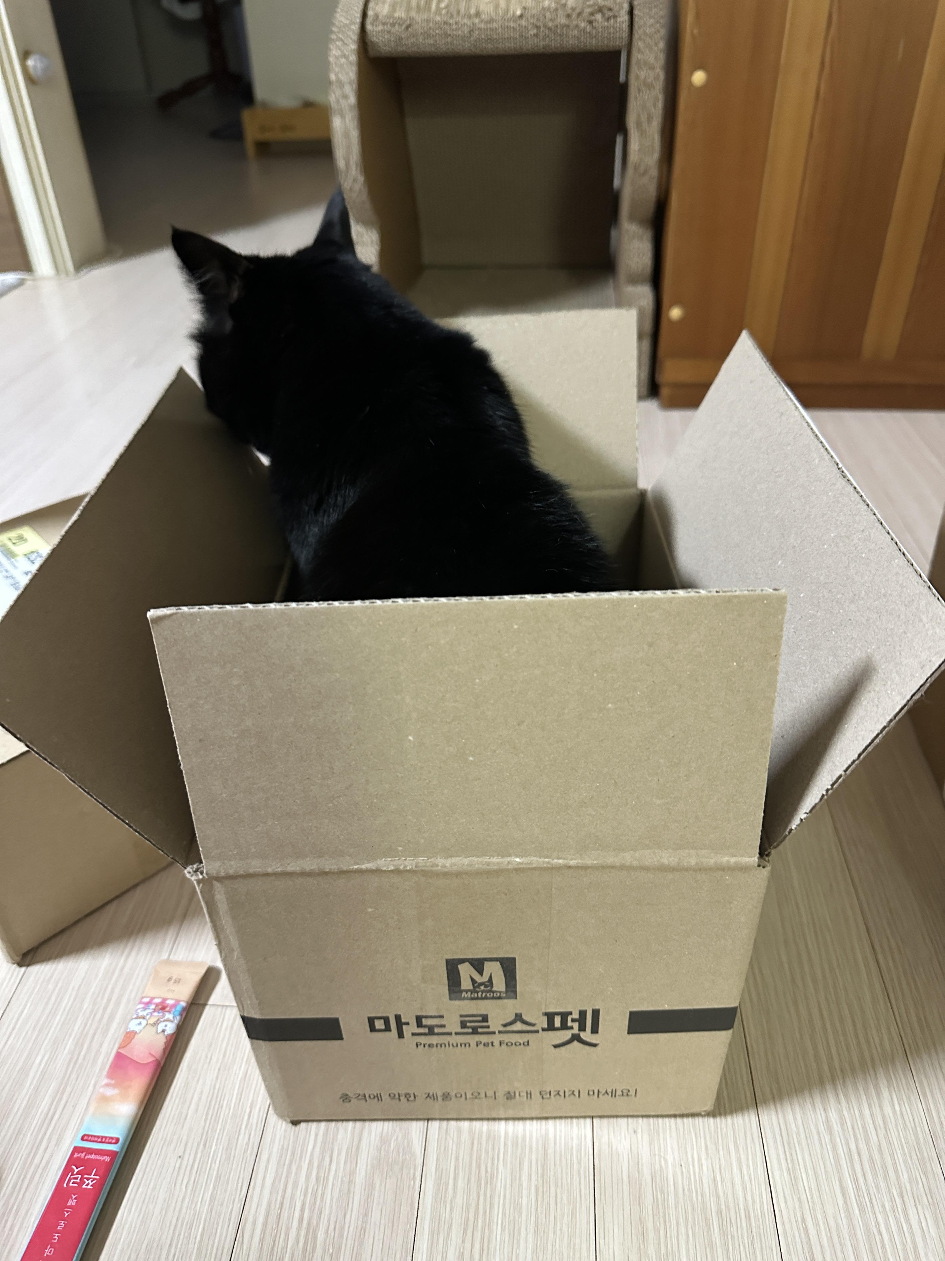 다른_큰_상자에_들어간_건이_1