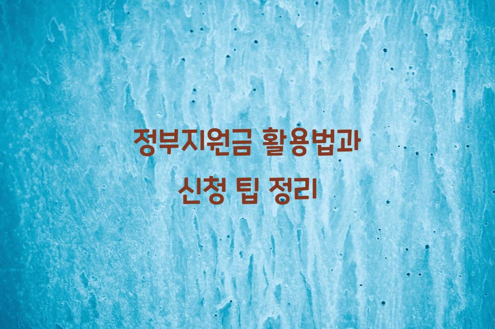 정부지원금
