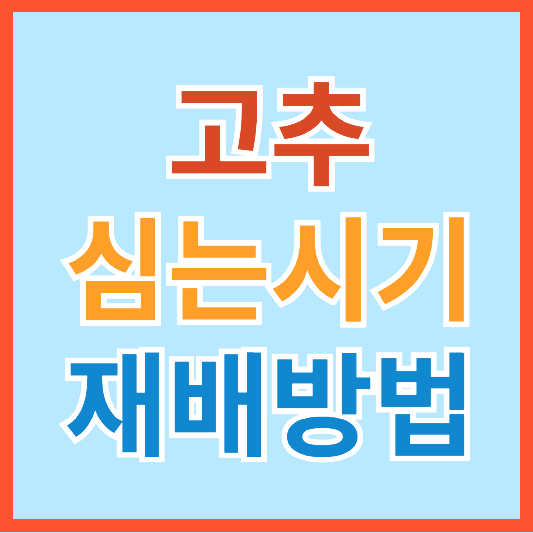 남부,중부지방 고추 파종, 모종 심는 시기, 재배 방법, 수확 시기