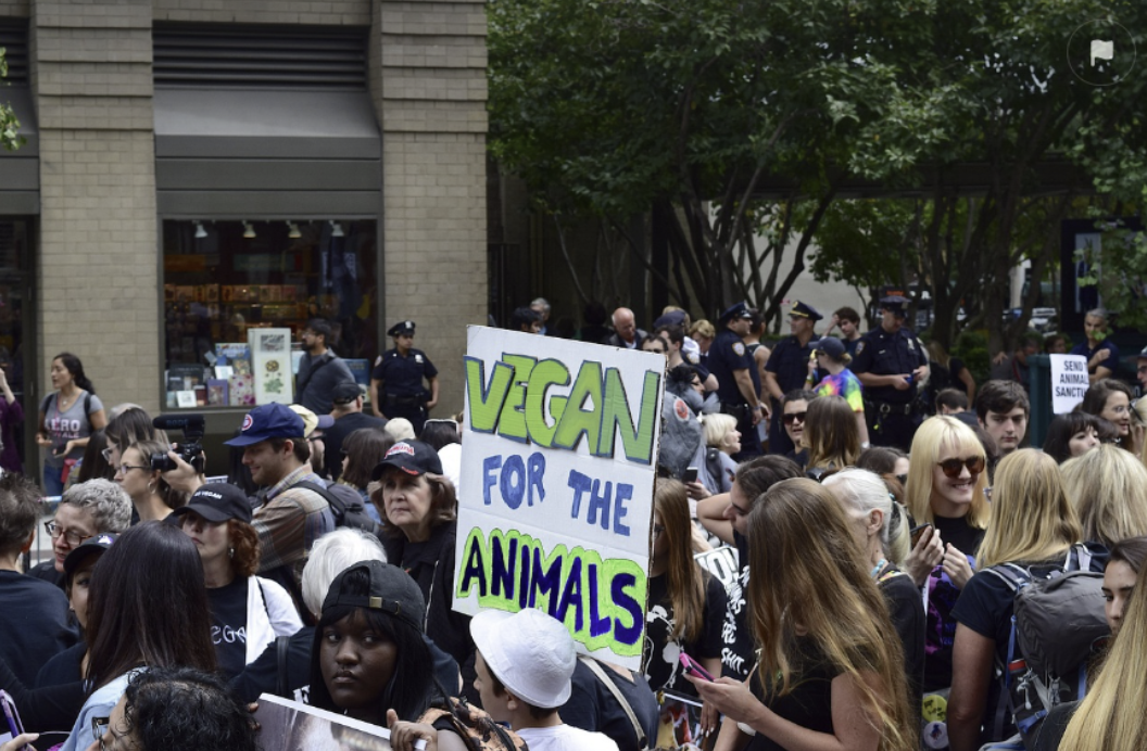 영화 1987 대체 사진