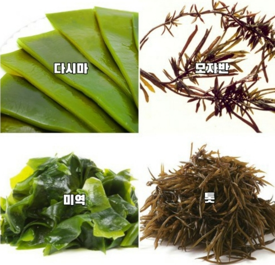 바다에서 채취를 할 수 있는 다시마, 모자반, 미역, 톳 등과 같이 요오드가 많이 함유되어 있는 것을 나열하여 찍은 사진