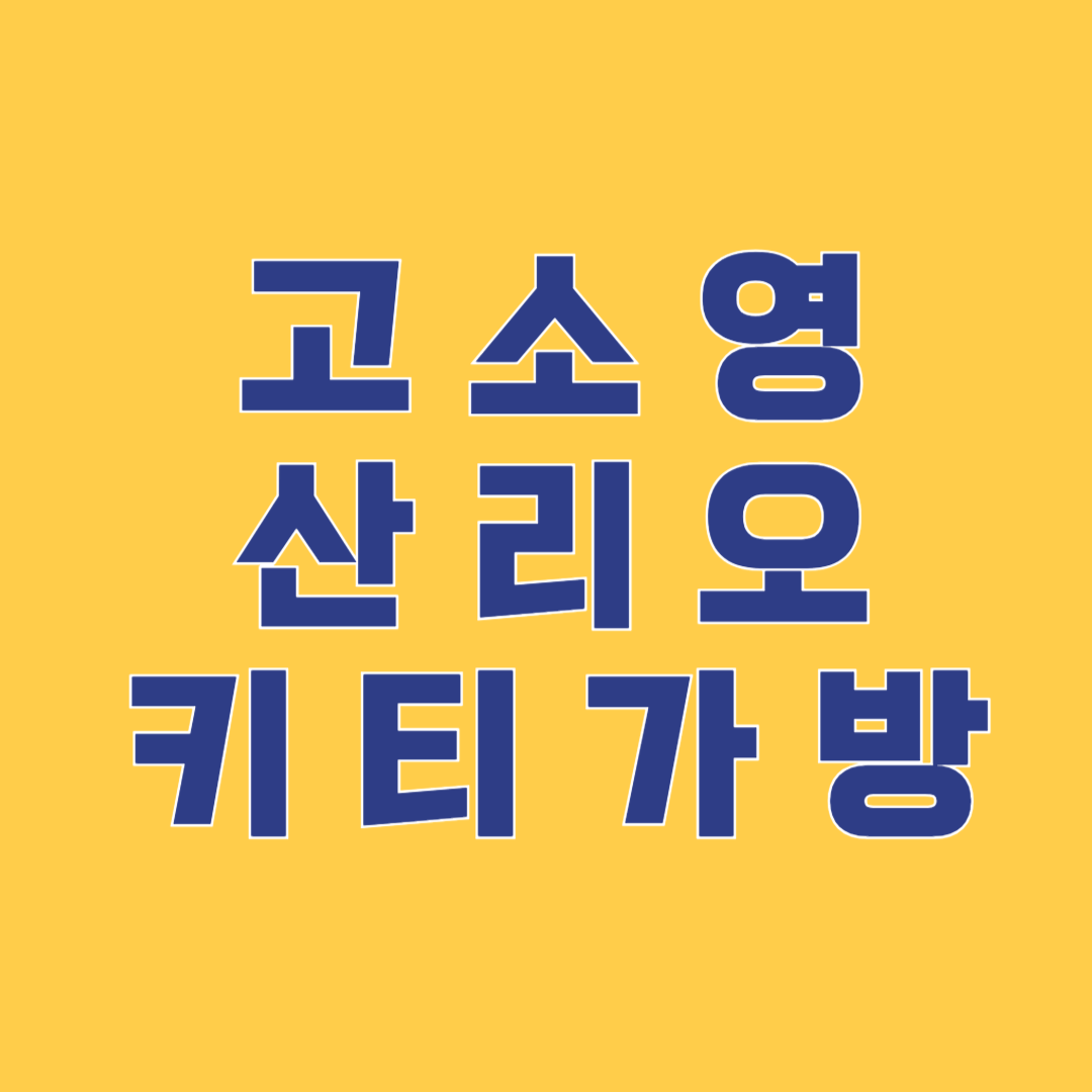 고소영 가성비 5만원대 가방 정보