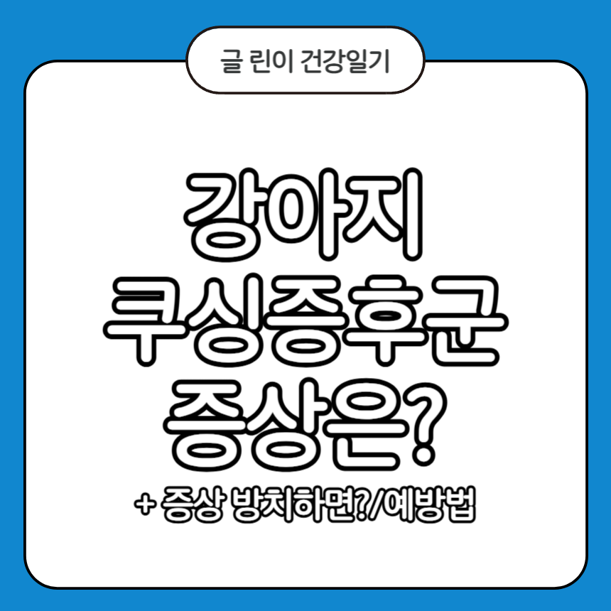 강아지 쿠싱증후군 증상