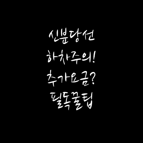신분당선 하차 시 기후동행카드 요금 ..