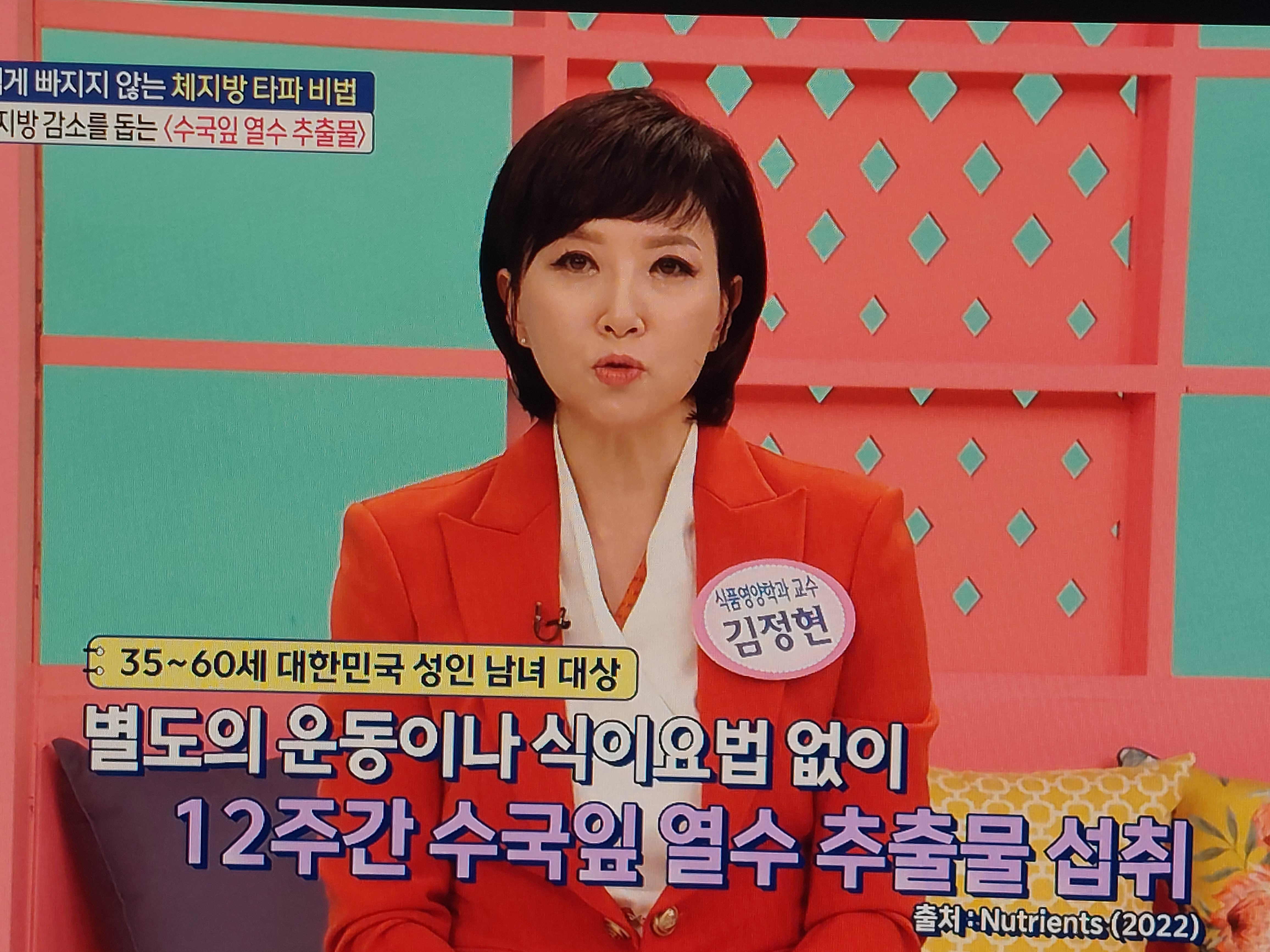 수국잎열수추출물 분말 효능