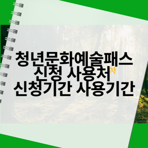 청년 문화 예술 패스