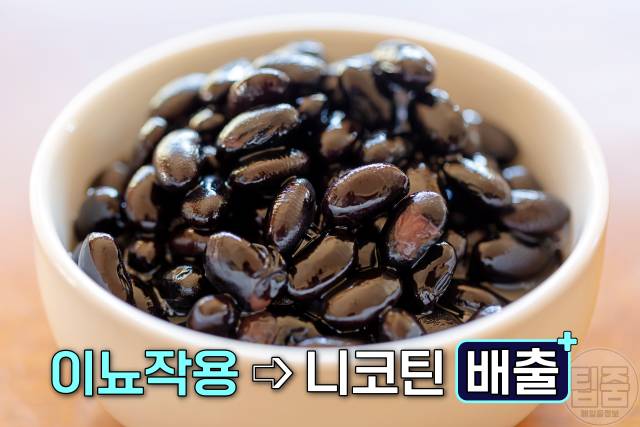 니코틴 배출 음식 검은콩 니코틴배출기간