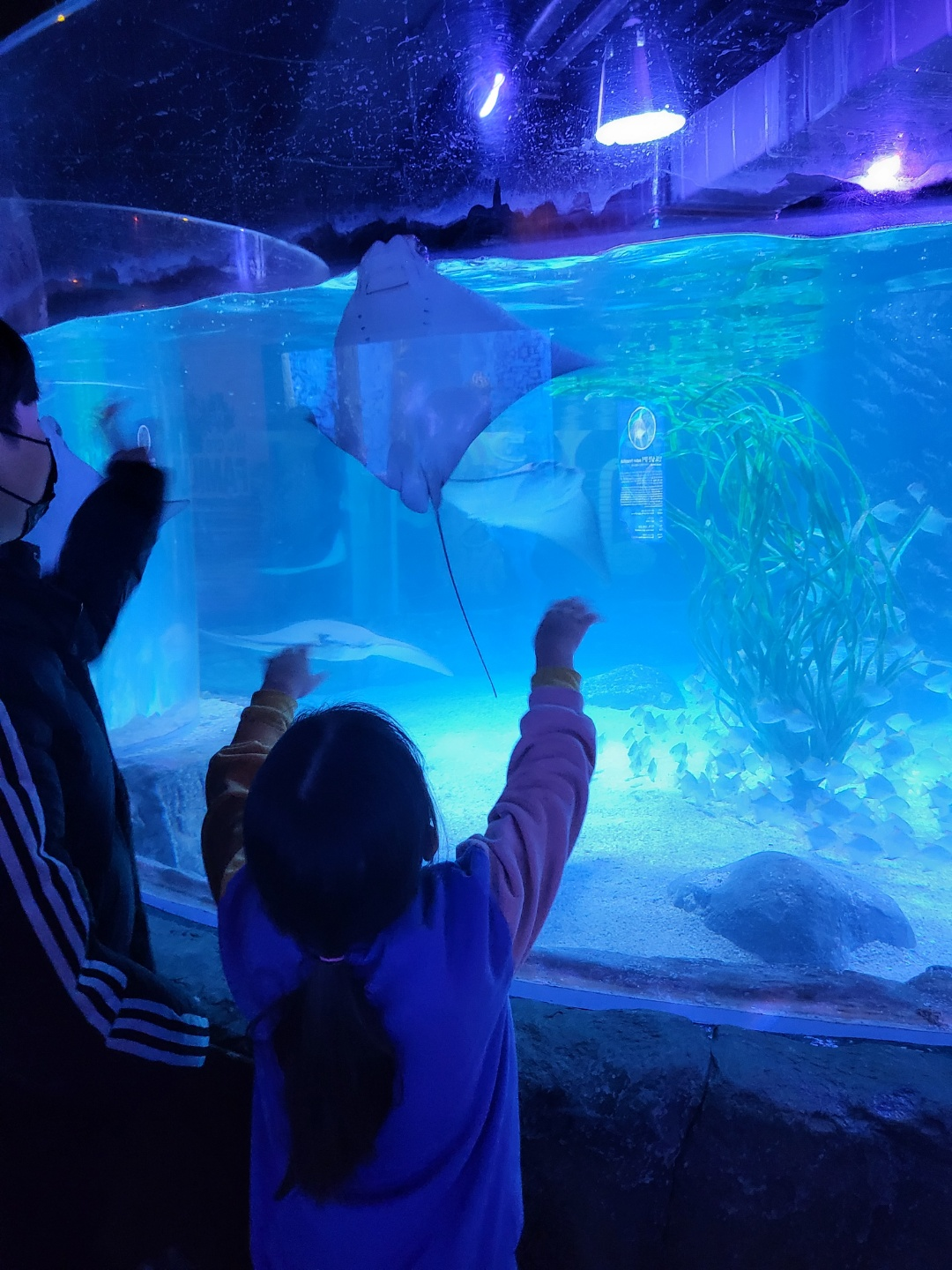 부산 아쿠아리움