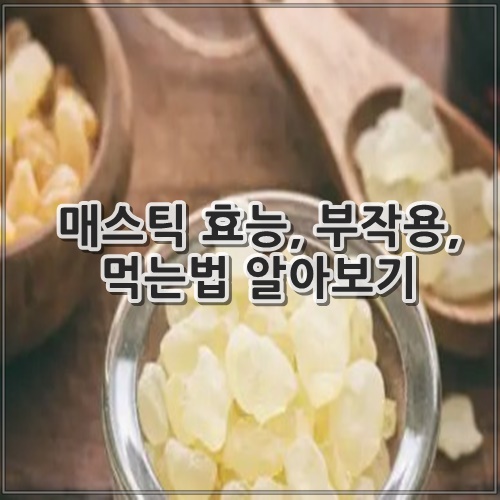매스틱 효능, 부작용, 먹는법 알아보기