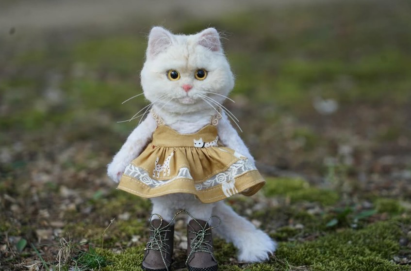 동네한바퀴 서촌 양모펠트인형 공방 고양이 인형