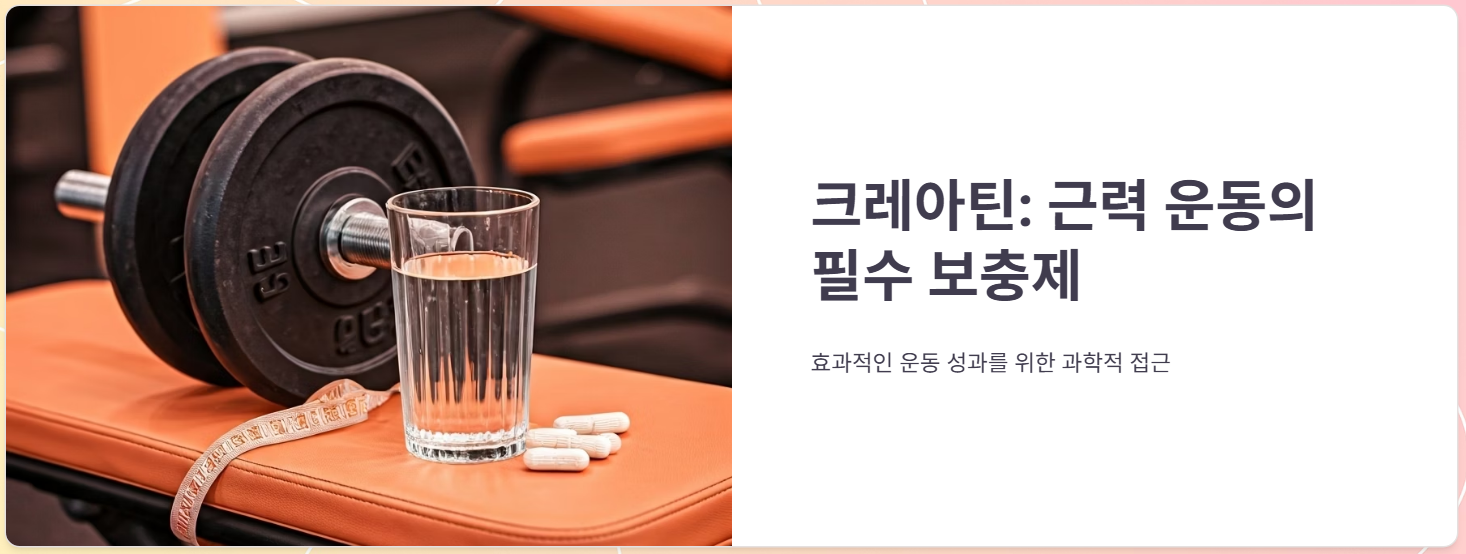 크레아틴 효능 효과, 부작용, 먹는방법, 복용후기 총정리!