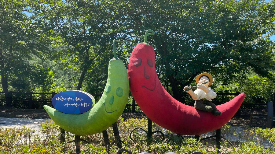 청양 천장호 출렁다리