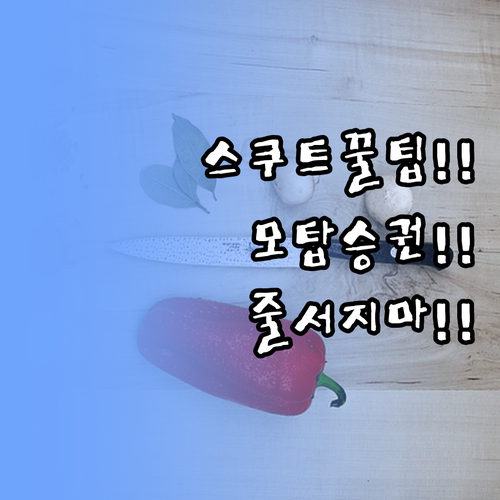 스쿠트 항공 모바일 탑승권으로 공항 ..
