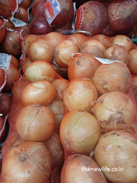 망에 포장된 노란 양파와 붉은 양파가 함께 쌓여 있는 마트 진열대