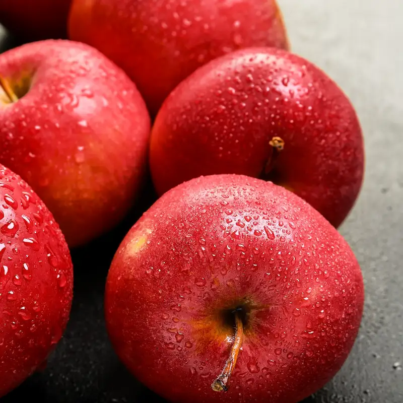 이슬이 맺혀 있는 빨갛게 익은 사과들 썸네일