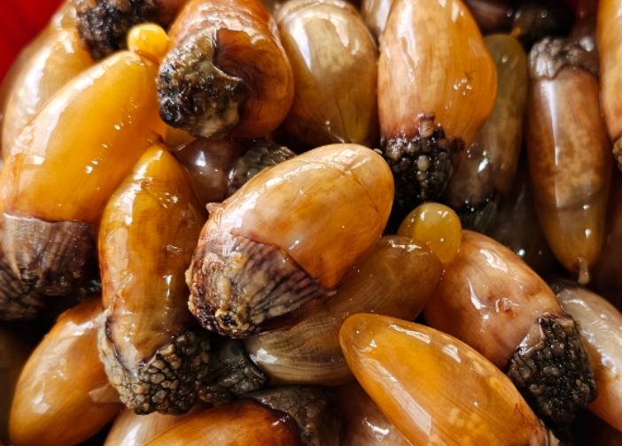 제철 미더덕 요리 관련 사진