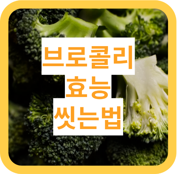 브로콜리의 효능&#44; 브로콜리 씻는 법