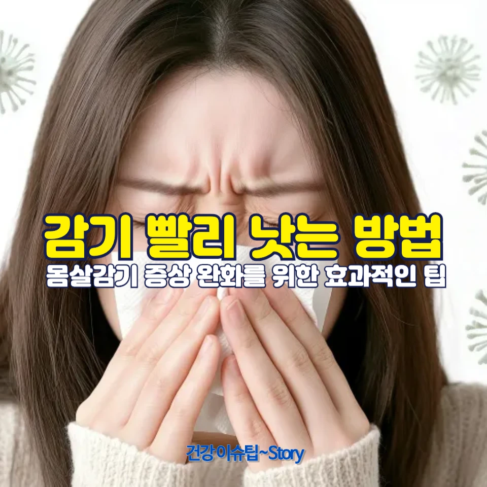 몸살감기 증상 완화를 위한 효과적인 팁