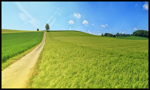 아르기닌 효능 알아보기9