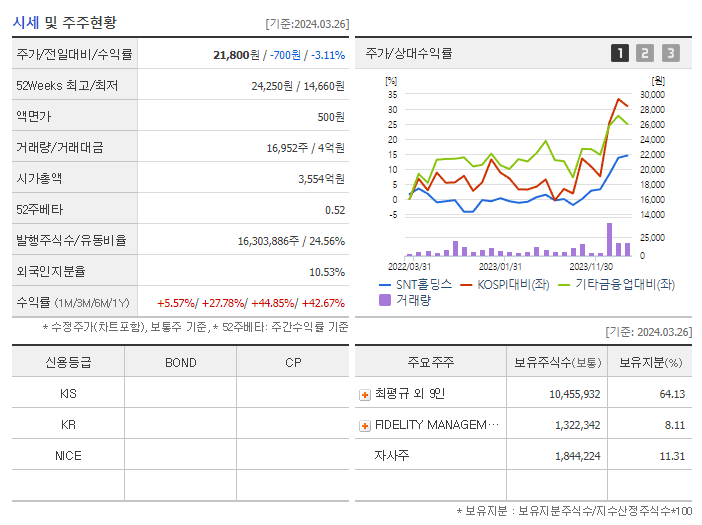 SNT홀딩스_기업개요