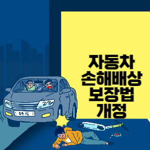 자동차 손해배상 보장법 개정 썸네일