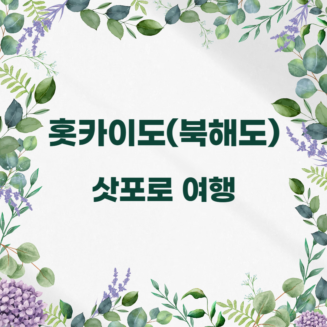 홋카이도 북해도 자유여행 삿포로