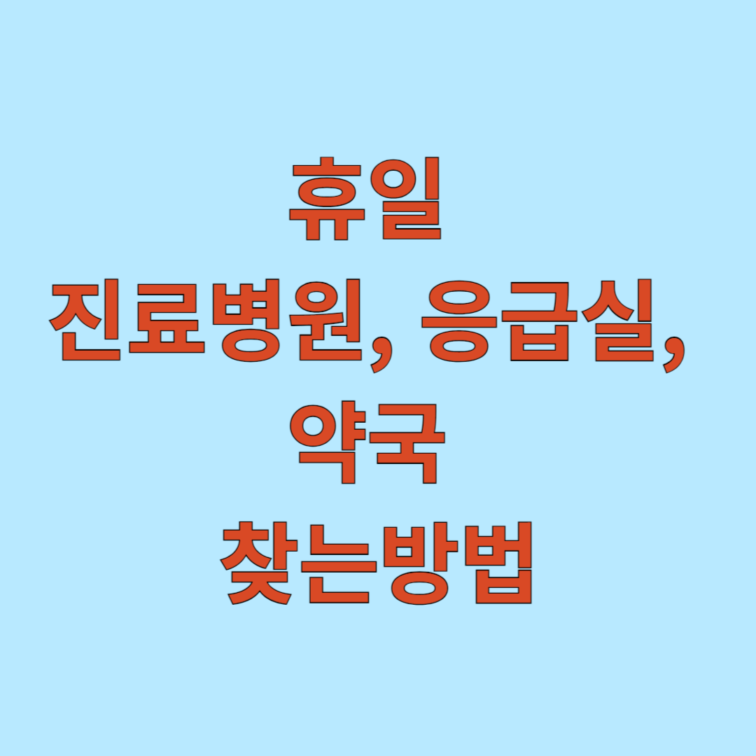 휴일 진료병원, 응급실, 약국 찾는방법