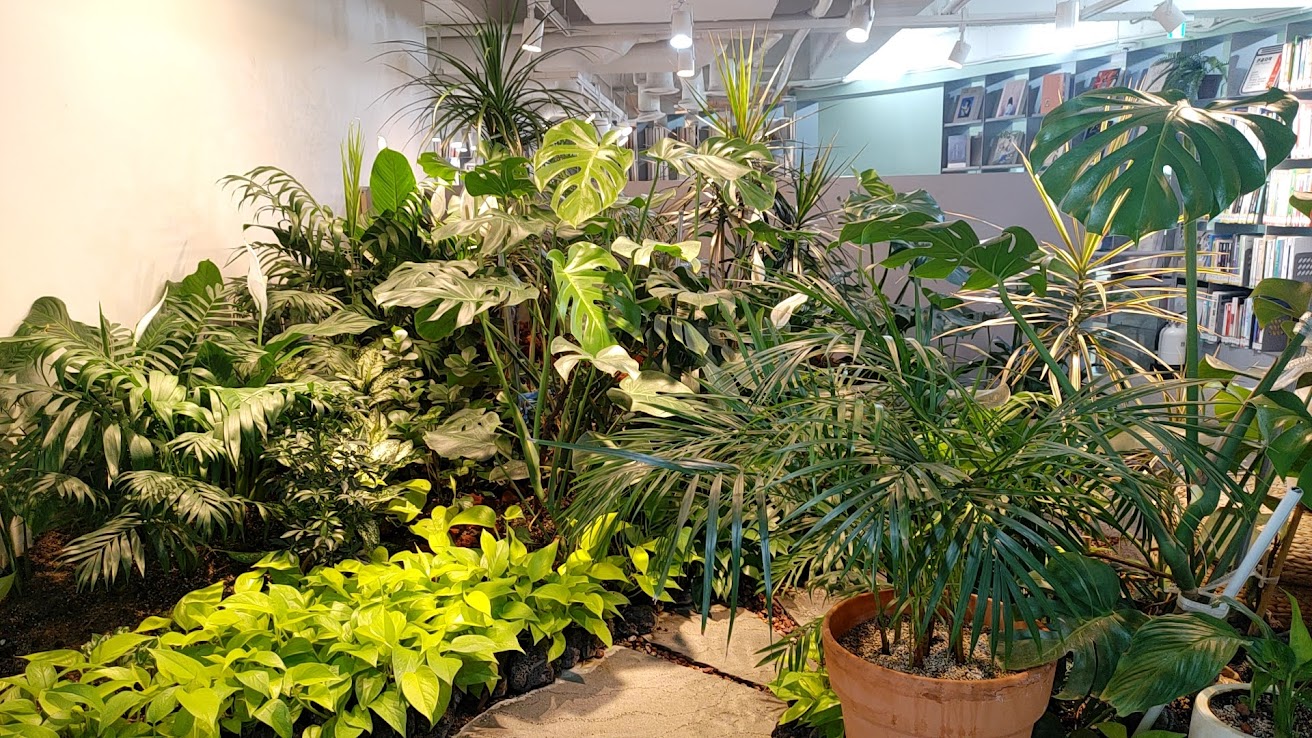 다산 성곽 도서관