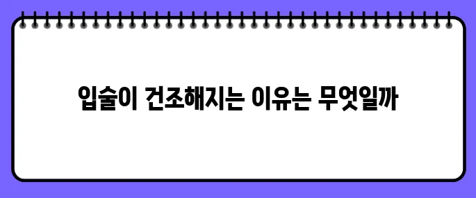 입술이 부르트는 이유