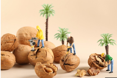 호두 까는 일러스트