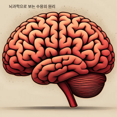 전전두피질과 감정 조절|뇌과학으로 보는 수용의 원리